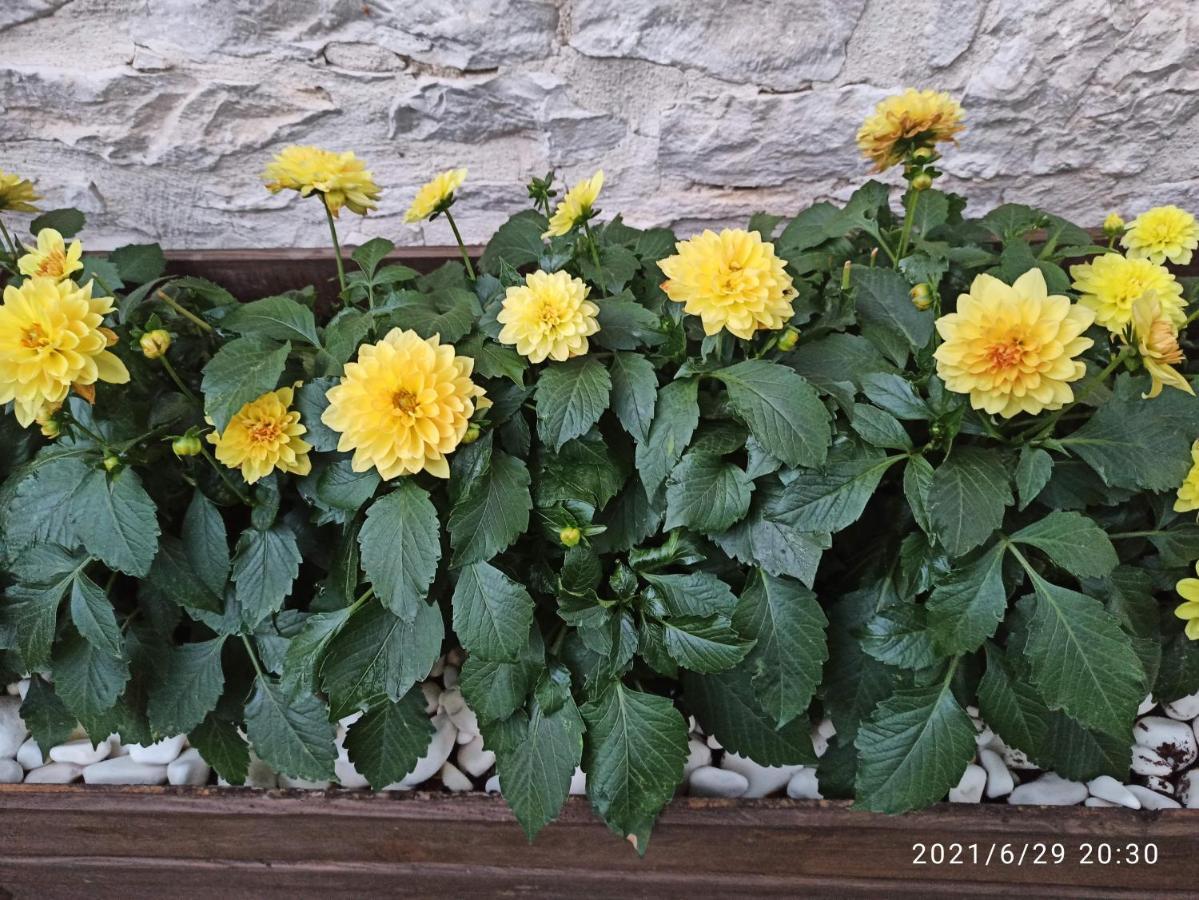 Konak Bindalli Bed and Breakfast Karabuk  Buitenkant foto